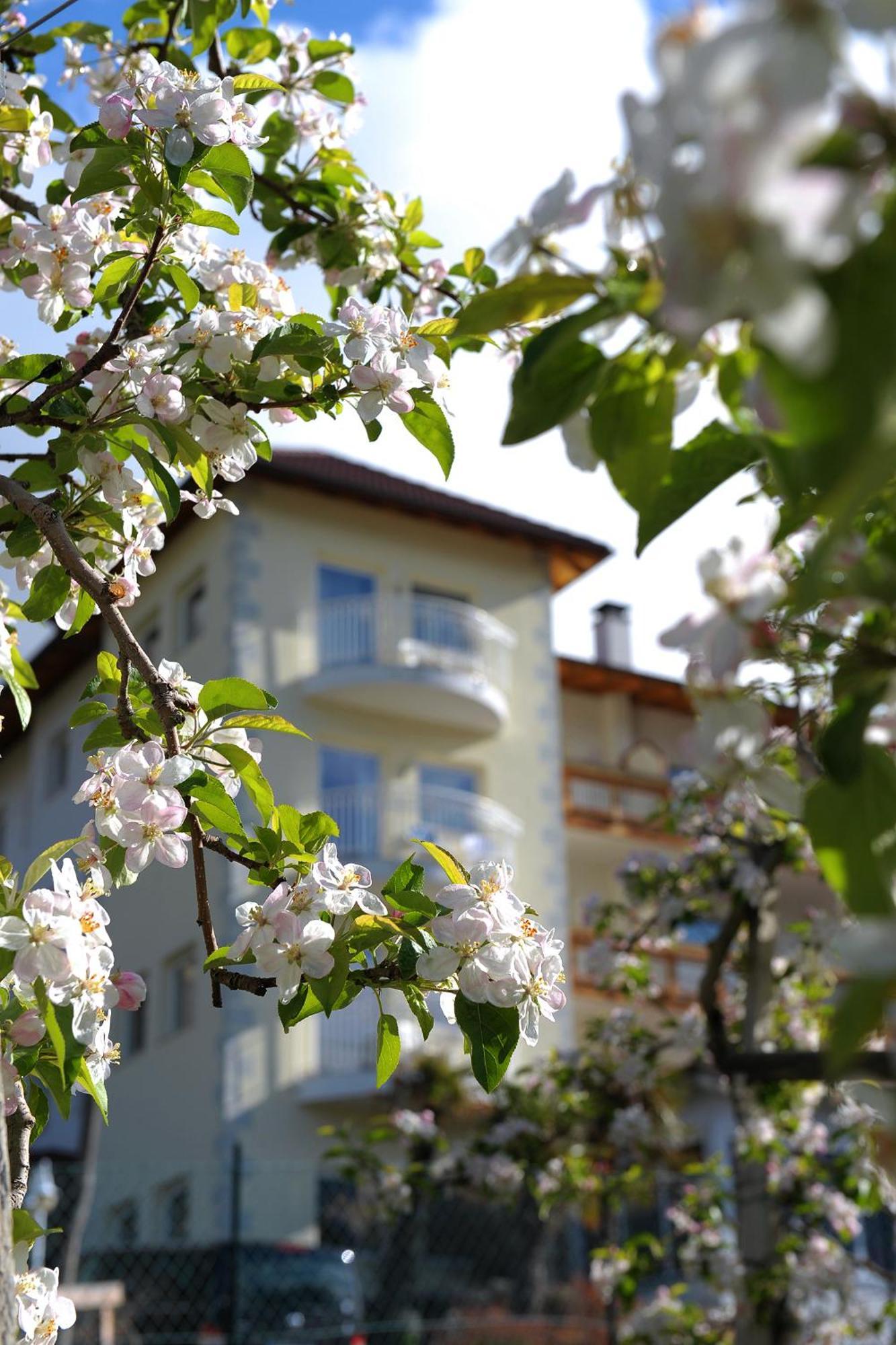 Residenze Mathilda Hotel ซีลันโดร ภายนอก รูปภาพ